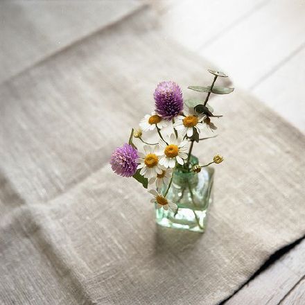 暖心的句子说说心情 (图1)