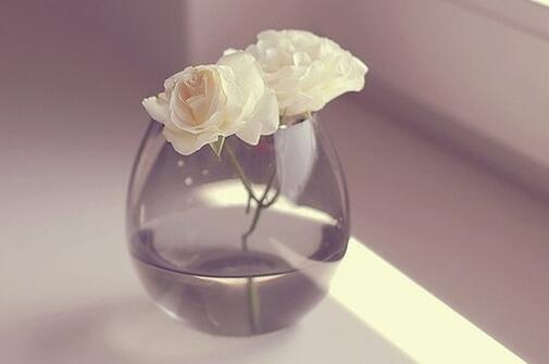 心情说说很现实 已去之事不可留，已逝之情