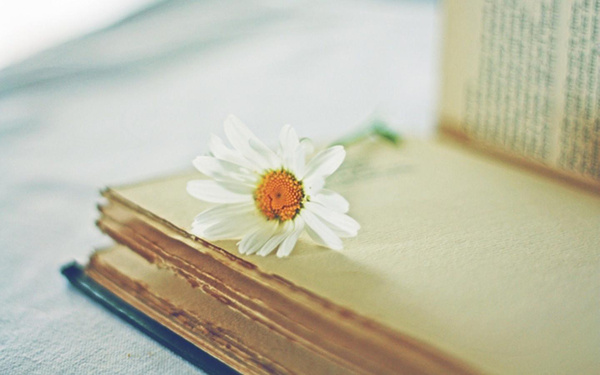 关于平淡的说说 (图1) 关于平淡的说说 (图1)