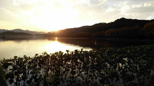 心情好烦的说说 (图1) 心情好烦的说说 (图1)