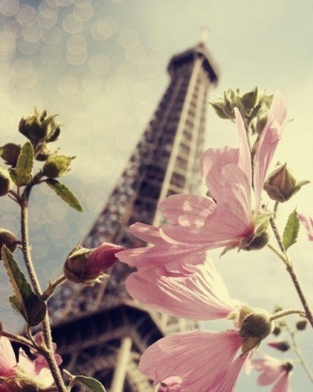 如果懂得欣赏平凡中的美好，生活会更加多姿