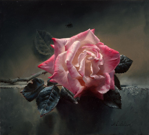 qq说说优美句子 (图1)