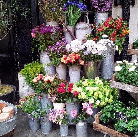 有点情绪的说说心情 (图1) 有点情绪的说说心情 (图1)