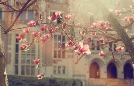 伤心的qq说说经典回复 (图1)