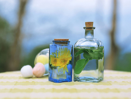 微信说说经典语句 做自己生命的主角，而不