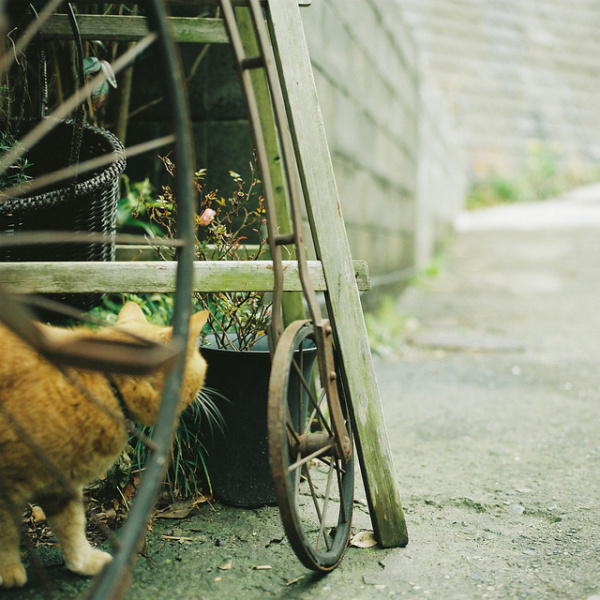 女生唯美说说 这世上最幸福的就是,你等的那个(图1) 女生唯美说说 这世上最幸福的就是,你等的那个(图1)