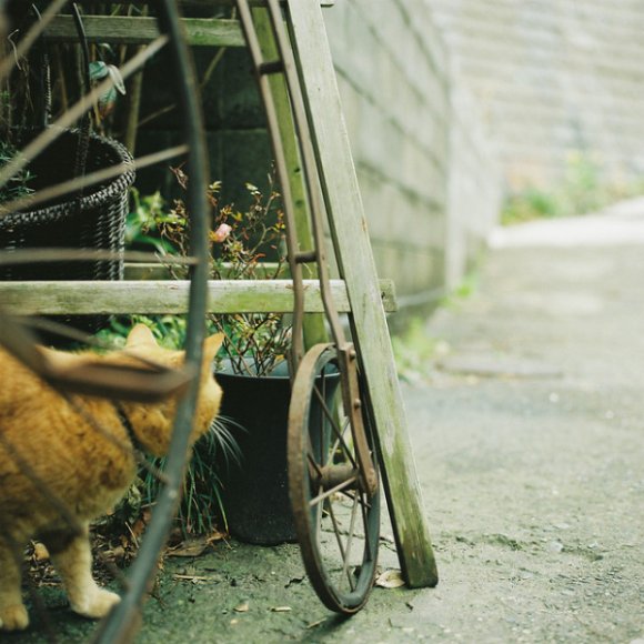 女生唯美说说 这世上最幸福的就是，你等的