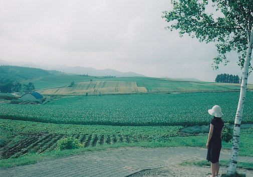 简单的心情说说 