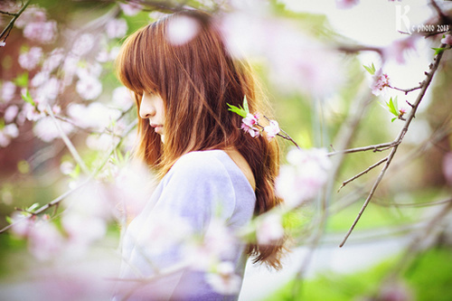 淡定的说说 淡淡的心情，淡淡的生活，淡淡