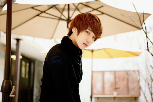 孤独寂寞说说 习惯一个人，习惯寂寞，习惯孤独(图1)