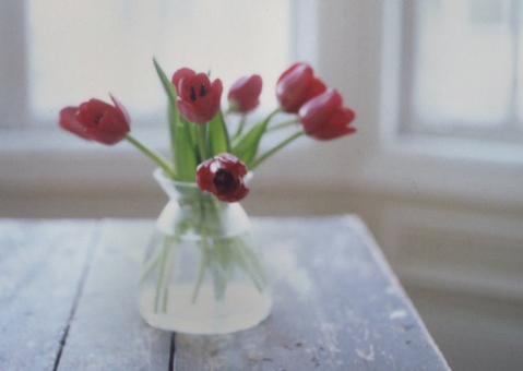 令人无语的说说 (图1)