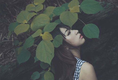 优雅女人心情说说 你的执着在他眼里可能是