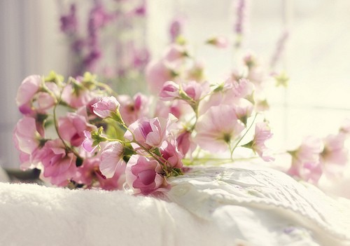 心情说说很现实 最现实的爱：我想有个家 