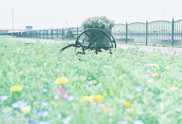 关于喜欢一个人的说说 (图1)