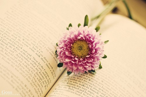 那些说到心坎的QQ说说 很多人，一旦错过