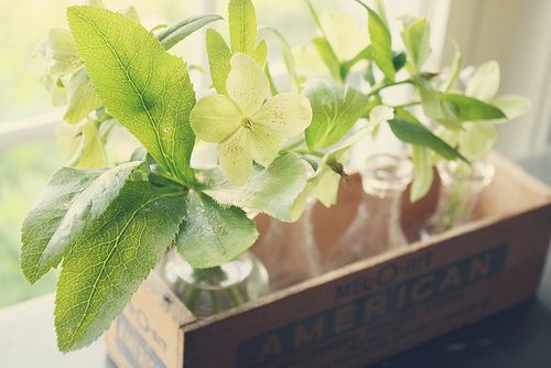 很现实的唯美心情说说 (图1)