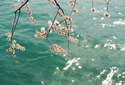 忘记是一种风度，舍得是一种智慧 