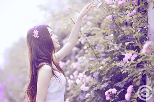 评论最多的说说 (图1)