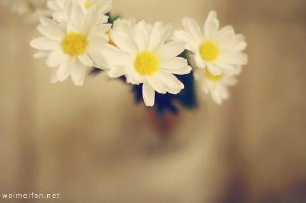 经典短句说说 (图1)