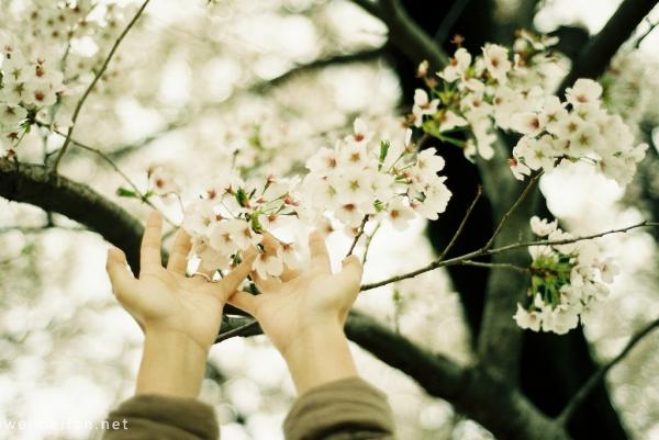 世界没那么坏，自己也没那么好 