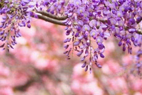 我很好。我们都还好。这才是最重要的 (图1)