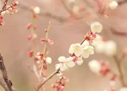 你生活在别人的眼神里，就迷失在自己的心路上(图1)