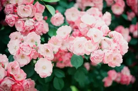 好听的qq说说 (图1)