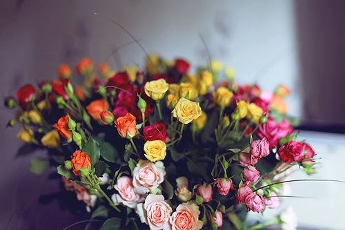 有关于青春人生的说说 (图1)