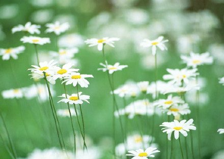 总有一个人，他一句话就能让你往死里难受 (图1)