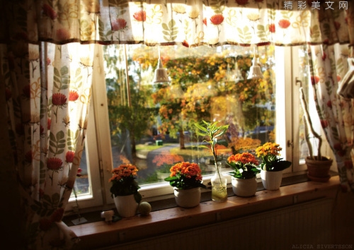 一杯热茶，暖的是身；一句懂得，暖的是心 