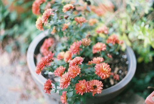 表达情感的唯美空间说说 (图1)