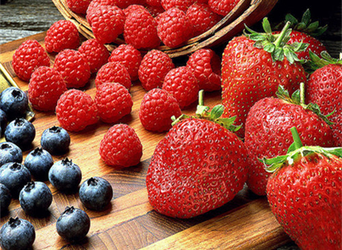 既然选择活着，就必定有所承担 