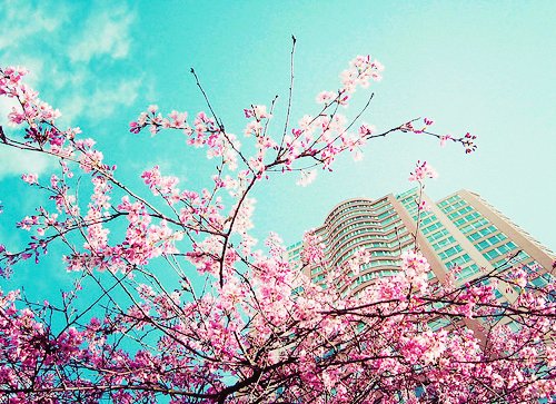 幸福唯美的心情说说 (图1)