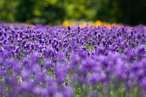 努力之后，你会发现自己要比想象的优秀很多 (图1)