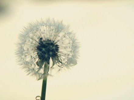 qq空间说说心情 人生本来非常简单，而且