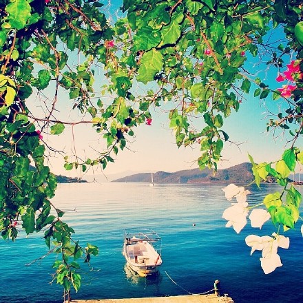 平凡的说说 (图1)