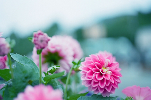 也许一个人久了吧，真没觉得不一样 