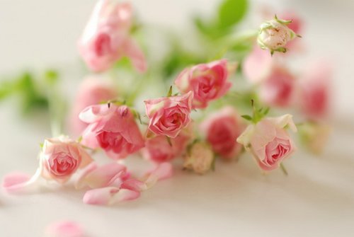 qq经典的空间留言 