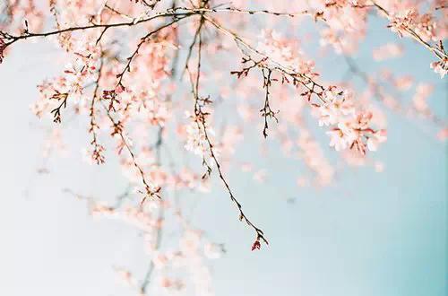 2018唯美的空间说说 (图1)