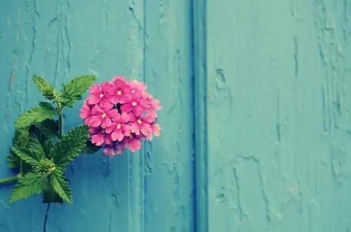 心情不好的QQ空间唯美说说 (图1)