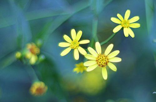 正能量的空间说说 未来难预测，我们只坚持当下(图1)