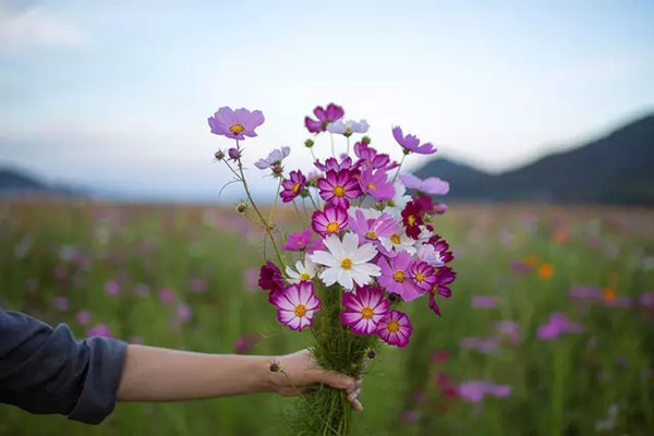 放下所有一切让你累的事情，每天都是新的 (图1)