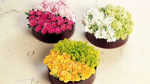 有些东西失去了，比拥有更让我们刻骨铭心 (图1)