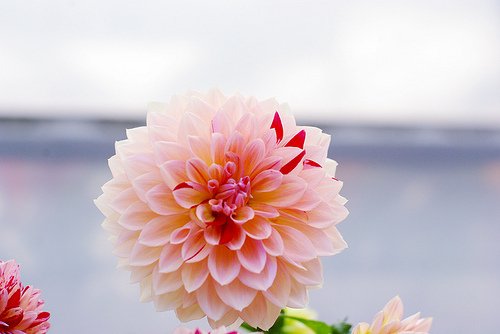 一个人的生活说说 (图1)