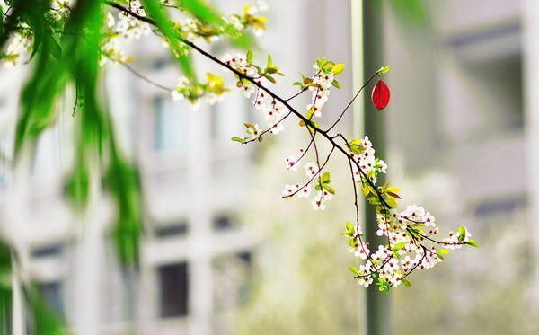 青春情感说说：走辛福的路，让忧伤无路可走