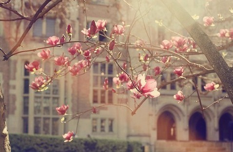 情到深处，知悔不愿悔 