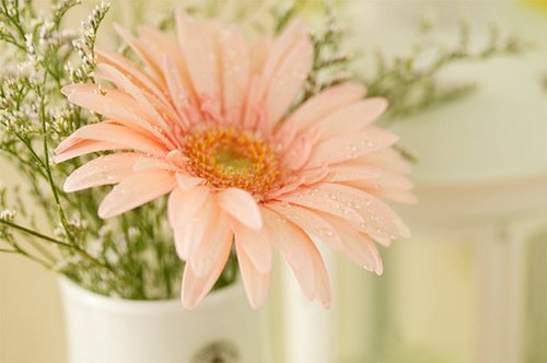 qq说说心情经典的句子 