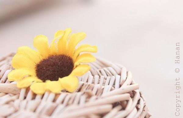 领悟人生的说说 