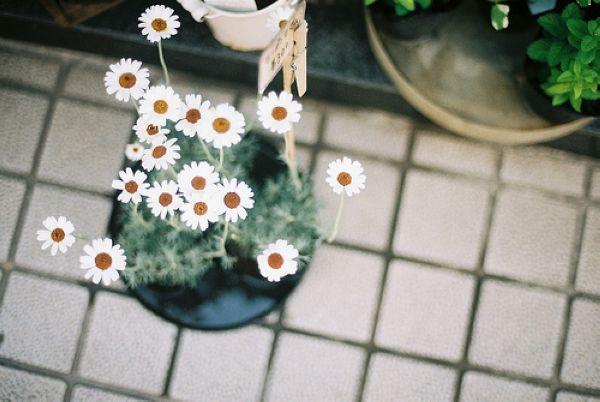 没有欢笑的时光，是虚度的光阴 