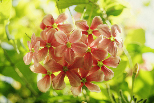 2018最新版的个性说说大全 